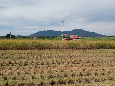 令和5年産 新米 新潟コシヒカリ・新之助 無農薬 予約・販売 傳次右衛門